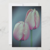 Pink Tulips Party Einladung (Rückseite)