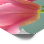 Pink Tulips Poster (Ecke)