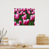Pink Tulips Poster (Küche)