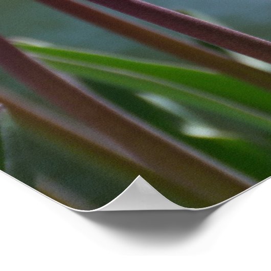 Pink Tulips Poster (Ecke)