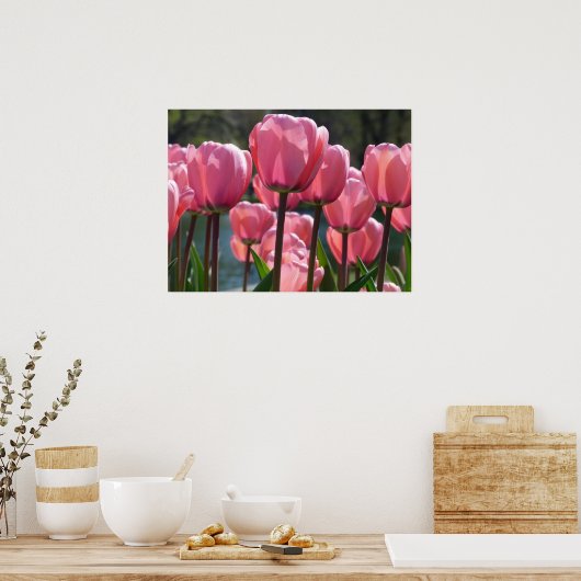 Pink Tulips Poster (Küche)