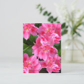 PINK TULIPS ~ Postkarte (Stehend Vorderseite)