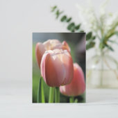 Pink Tulips Postkarte (Stehend Vorderseite)
