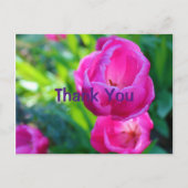Pink Tulips Postkarte (Vorderseite)