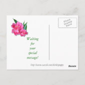PINK TULIPS ~ Postkarte (Rückseite)