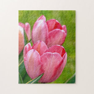 Pink Tulips Puzzle