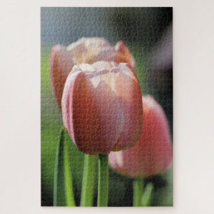 Pink Tulips Puzzle