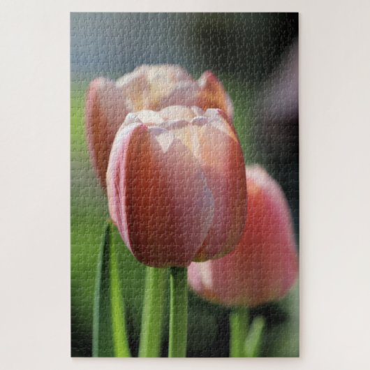 Pink Tulips Puzzle (Vertikal)