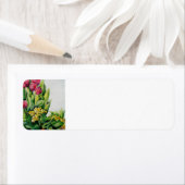 Pink Tulips Rücksendeadresse (Insitu)