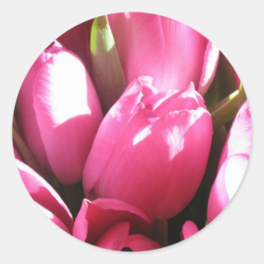 Pink Tulips Runder Aufkleber (Vorderseite)