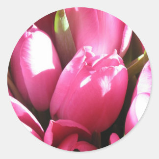 Pink Tulips Runder Aufkleber