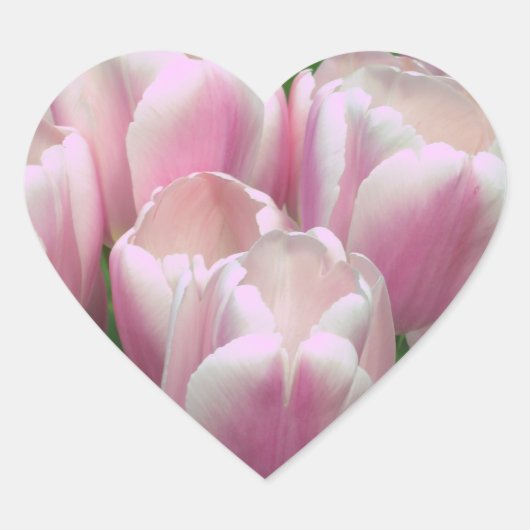Pink Tulips Sticker (Vorderseite)