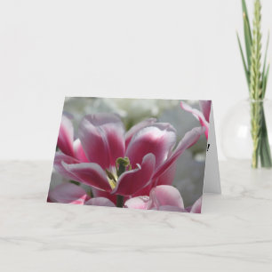 Pink Tulpe Geburtstagskarte Karte