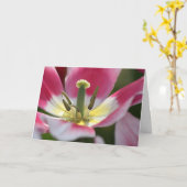 Pink Tulpe Geburtstagskarte Karte (Gelbe Blume)