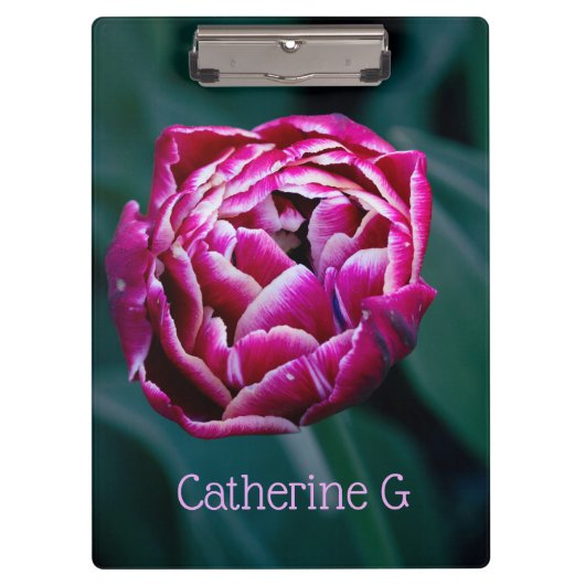 Pink-Tulpe Klemmbrett (Vorderseite)