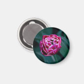 Pink-Tulpe Magnet (Vorderseite/Rückseite)