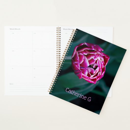 Pink-Tulpe Planer (Anzeige)