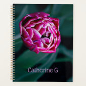 Pink-Tulpe Planer (Vorderseite)
