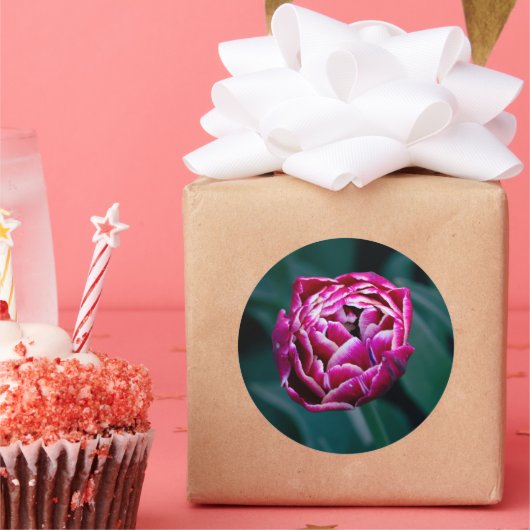 Pink-Tulpe Runder Aufkleber (Party)