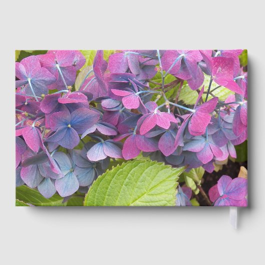 Pink und Blue Blume Petals Baby Dusche Gästebuch (Rückseite)