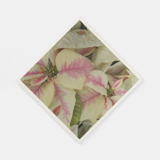 Pink und Cream Poinsettias Floral Serviette (Ecke)