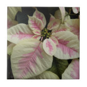 Pink und Creme Marmor Poinsettia Floral Fliese (Vorderseite)