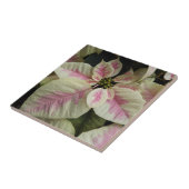 Pink und Creme Marmor Poinsettia Floral Fliese (Seite)
