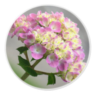 PINK UND GELB HYDRANGEA/DEKORATIVE KERAMIK KNOW KERAMIKKNAUF