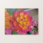 Pink und Gelb Lantana Puzzle (Horizontal)