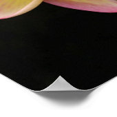 Pink und gelb Plumeria Poster (Ecke)