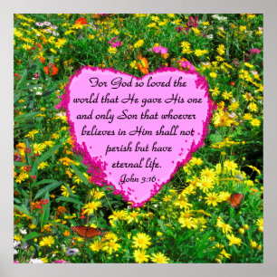 PINK UND GELBE JOHN 3:16 FOTO POSTER