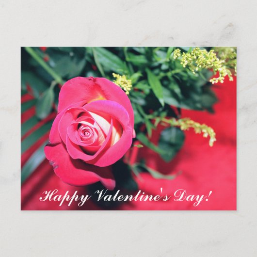 PINK UND GELBE ROSE VALENTINSTAG POSTKARTE (Vorderseite)