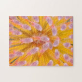 Pink und Orange Pincushion Proteaceae Puzzle (Horizontal)