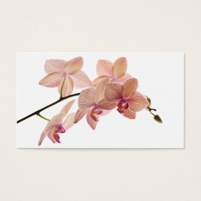 Pink und Peach Dendrobium Orchid - Maßgeschneidert (Vorderseite)