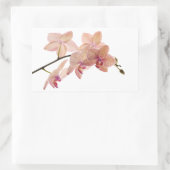 Pink und Peach Dendrobium Orchid - Maßgeschneidert Rechteckiger Aufkleber (Tasche)