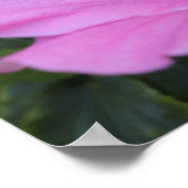 Pink und Proud Poster (Ecke)