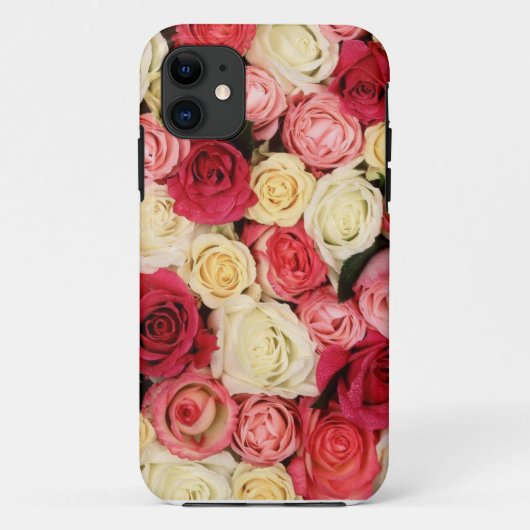 Pink und Rote Rose iPhone Case (Rückseite)