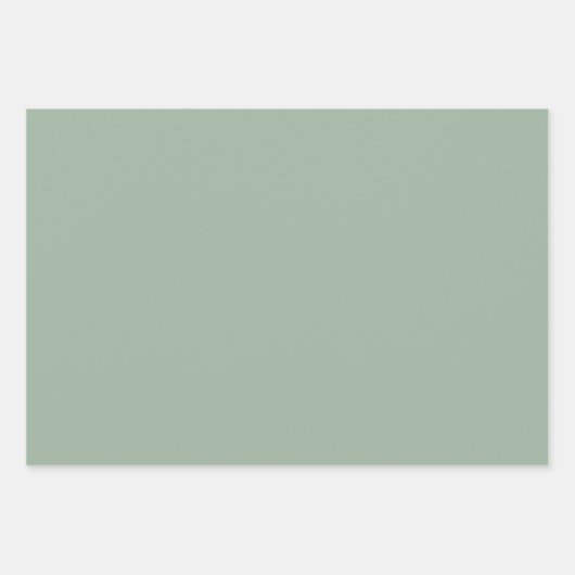 Pink und Sage Muster Geschenkpapier Set (Vorderseite 2)