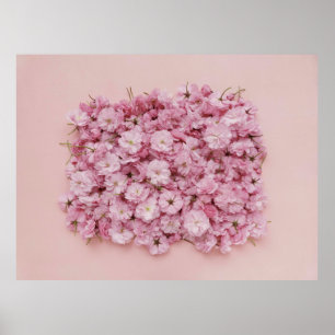 PINK UND WEISSE BLUME PETALS POSTER