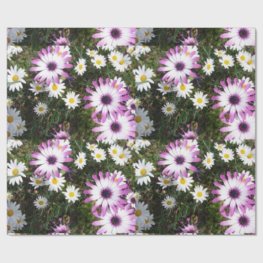 Pink und White Daisies Daisy Blume Wrapping Geschenkpapier (Flach)