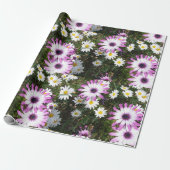 Pink und White Daisies Daisy Blume Wrapping Geschenkpapier (Ungerollt)