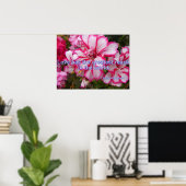 Pink Vintag Geranium Garden Blume Liebe Poster (Heimbüro)