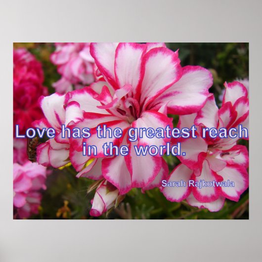 Pink Vintag Geranium Garden Blume Liebe Poster (Vorne)