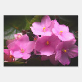 Pink Violette Africaine Saintpaulia Blume Geschenkpapier Set (Vorderseite 2)