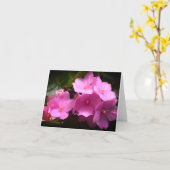 Pink Violette Africaine Saintpaulia Blume Karte (Gelbe Blume)