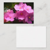 Pink Violette Africaine Saintpaulia Blume Mitteilungskarte (Vorne/Hinten)