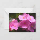Pink Violette Africaine Saintpaulia Blume Mitteilungskarte (Vorderseite)