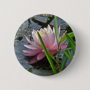 Pink-Wasser-Lily-Koordinaten Button