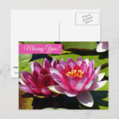 Pink Water Lilie Postkarte (Vorne/Hinten)