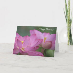 Pink Water Lilies Geburtstagskarte Karte